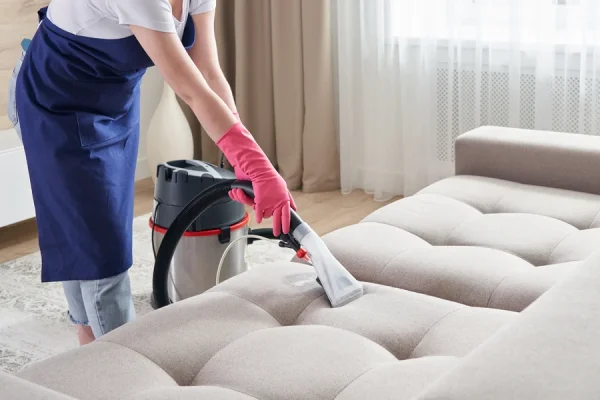 Professional Cleaning Company